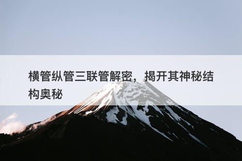 横管纵管三联管解密，揭开其神秘结构奥秘