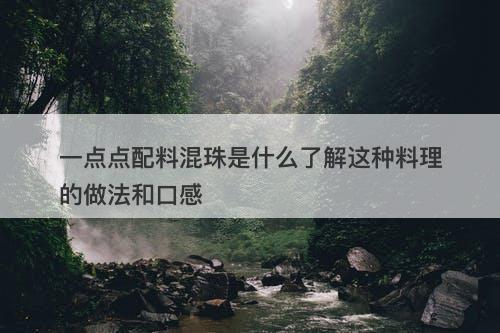 一点点配料混珠是什么了解这种料理的做法和口感