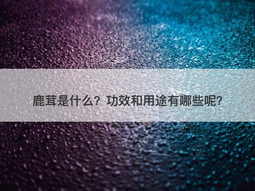 鹿茸是什么？功效和用途有哪些呢？