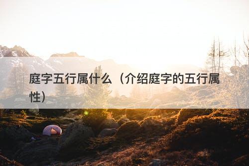 庭字五行属什么（介绍庭字的五行属性）