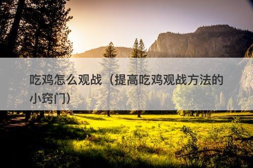 吃鸡怎么观战（提高吃鸡观战方法的小窍门）