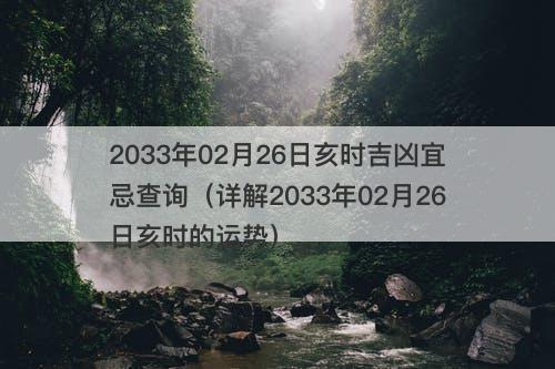 2033年02月26日亥时吉凶宜忌查询（详解2033年02月26日亥时的运势）