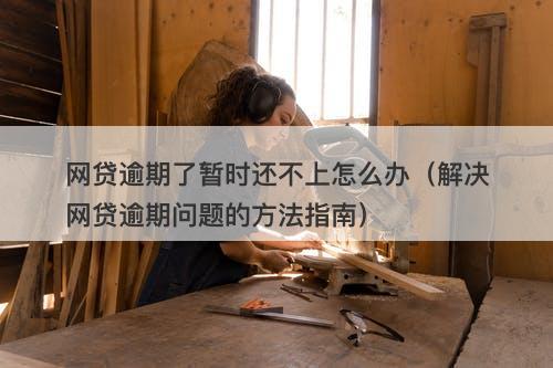 网贷逾期了暂时还不上怎么办（解决网贷逾期问题的方法指南）
