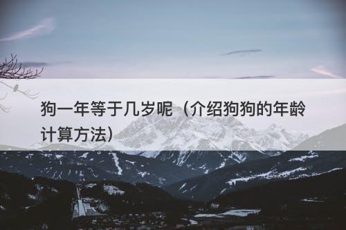狗一年等于几岁呢（介绍狗狗的年龄计算方法）