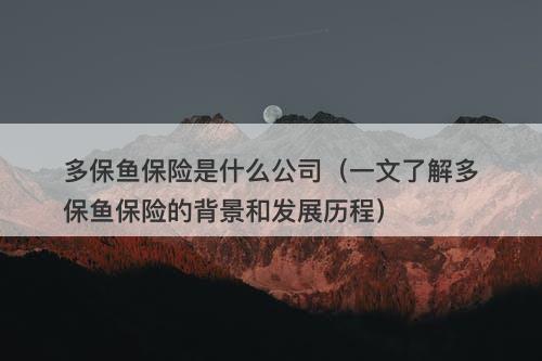 多保鱼保险是什么公司（一文了解多保鱼保险的背景和发展历程）