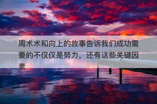 周术术和向上的故事告诉我们成功需要的不仅仅是努力，还有这些关键因素