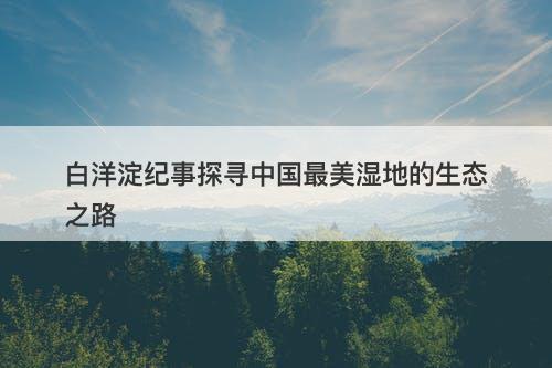 白洋淀纪事探寻中国最美湿地的生态之路