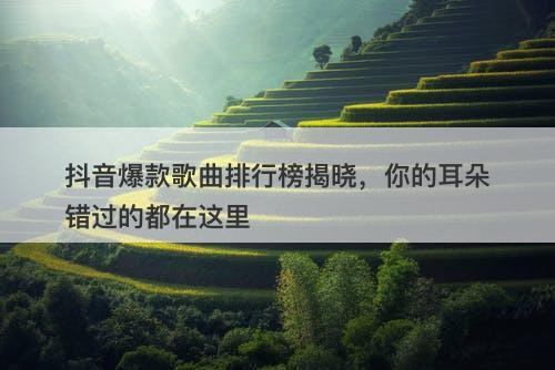 抖音爆款歌曲排行榜揭晓，你的耳朵错过的都在这里