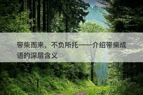 带柴而来，不负所托——介绍带柴成语的深层含义