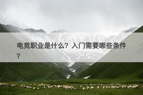 电竞职业是什么？入门需要哪些条件？