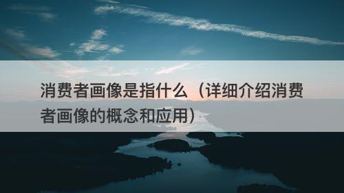 消费者画像是指什么（详细介绍消费者画像的概念和应用）