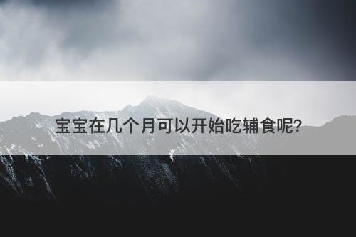 宝宝在几个月可以开始吃辅食呢？