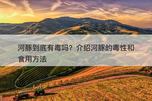 河豚到底有毒吗？介绍河豚的毒性和食用方法