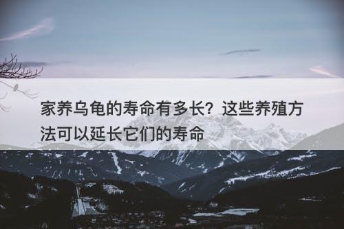 家养乌龟的寿命有多长？这些养殖方法可以延长它们的寿命