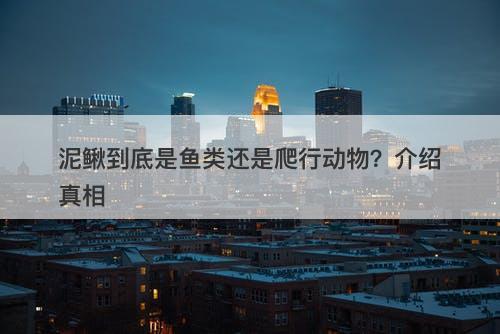泥鳅到底是鱼类还是爬行动物？介绍真相