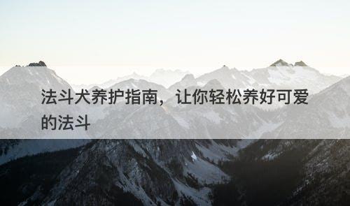 法斗犬养护指南，让你轻松养好可爱的法斗