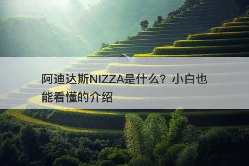 阿迪达斯NIZZA是什么？小白也能看懂的介绍