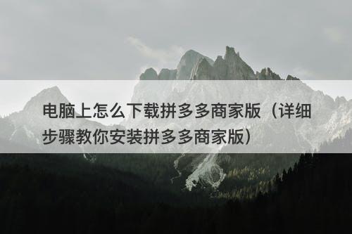 电脑上怎么下载拼多多商家版（详细步骤教你安装拼多多商家版）