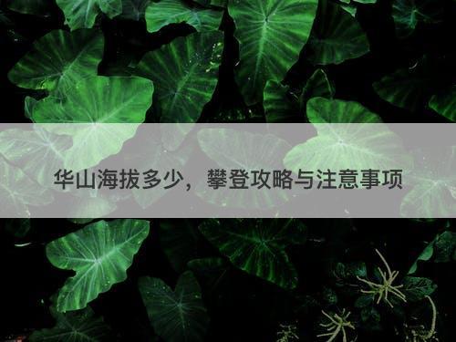 华山海拔多少，攀登攻略与注意事项