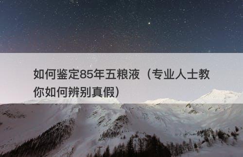 如何鉴定85年五粮液（专业人士教你如何辨别真假）