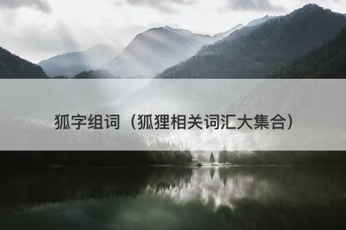 狐字组词（狐狸相关词汇大集合）
