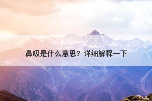 鼻吸是什么意思？详细解释一下