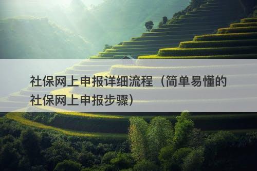 社保网上申报详细流程（简单易懂的社保网上申报步骤）
