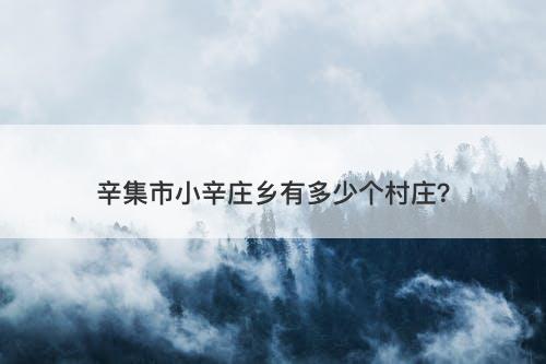 辛集市小辛庄乡有多少个村庄？