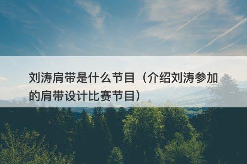 刘涛肩带是什么节目（介绍刘涛参加的肩带设计比赛节目）
