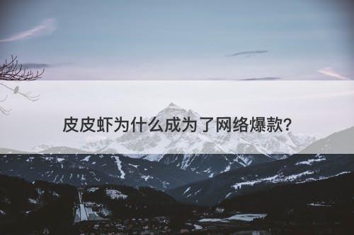 皮皮虾为什么成为了网络爆款？