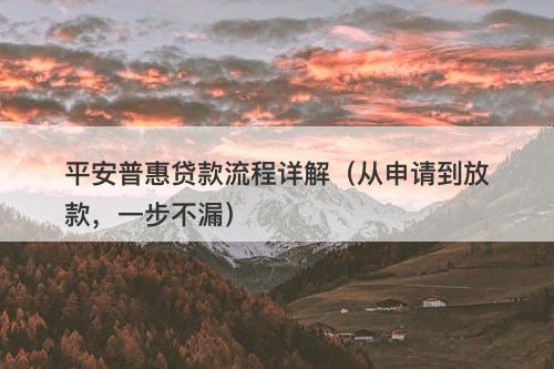 平安普惠贷款流程详解（从申请到放款，一步不漏）