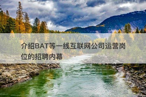 介绍BAT等一线互联网公司运营岗位的招聘内幕