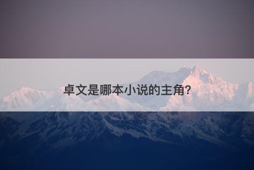卓文是哪本小说的主角？