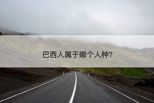 巴西人属于哪个人种？