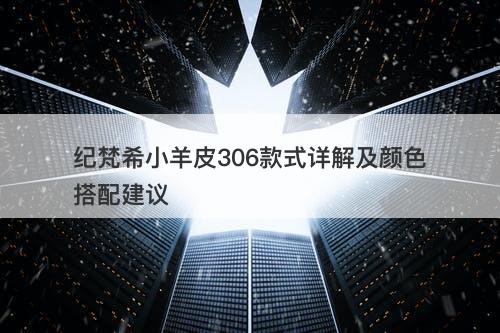 纪梵希小羊皮306款式详解及颜色搭配建议