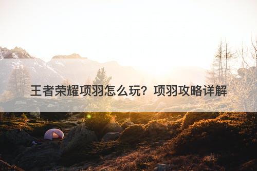 王者荣耀项羽怎么玩？项羽攻略详解