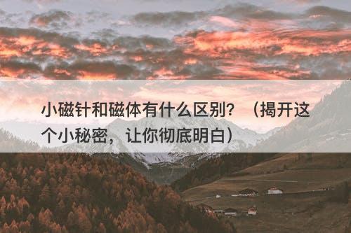 小磁针和磁体有什么区别？（揭开这个小秘密，让你彻底明白）