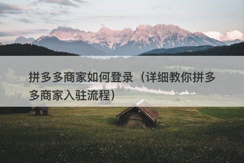 拼多多商家如何登录（详细教你拼多多商家入驻流程）