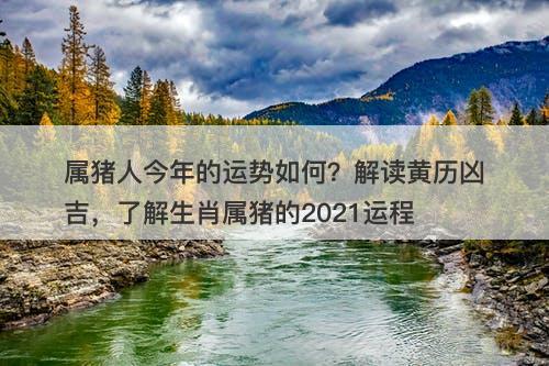 属猪人今年的运势如何？解读黄历凶吉，了解生肖属猪的2021运程