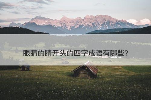 眼睛的睛开头的四字成语有哪些？