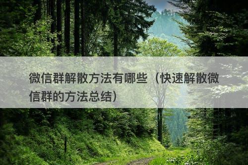 微信群解散方法有哪些（快速解散微信群的方法总结）