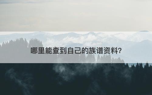 哪里能查到自己的族谱资料？