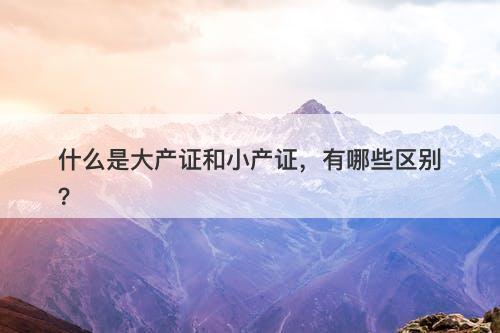 什么是大产证和小产证，有哪些区别？
