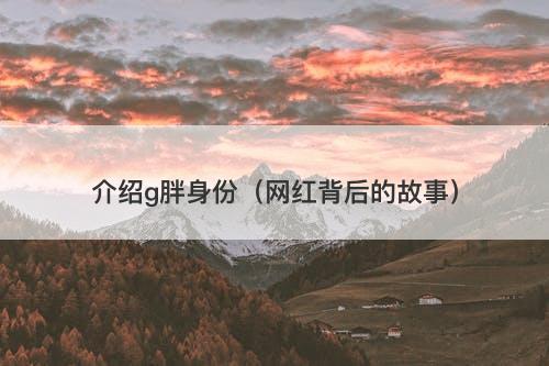 介绍g胖身份（网红背后的故事）