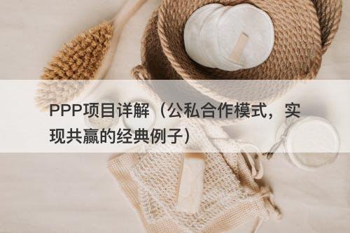 PPP项目详解（公私合作模式，实现共赢的经典例子）