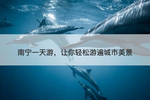 南宁一天游，让你轻松游遍城市美景