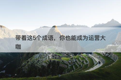 带着这5个成语，你也能成为运营大咖