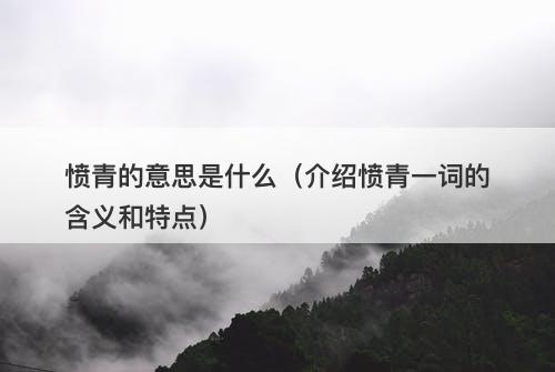 愤青的意思是什么（介绍愤青一词的含义和特点）