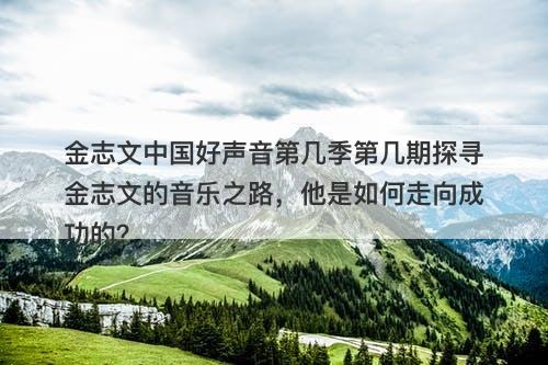 金志文中国好声音第几季第几期探寻金志文的音乐之路，他是如何走向成功的？