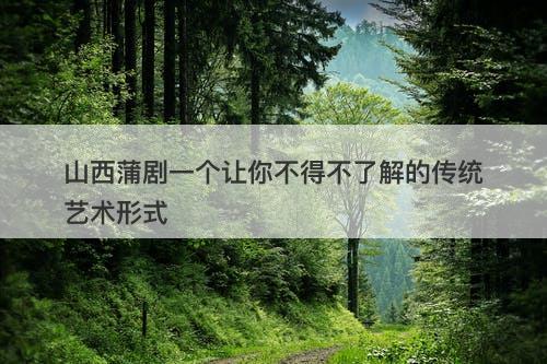 山西蒲剧一个让你不得不了解的传统艺术形式